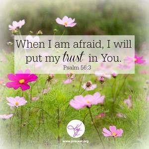 Meet your Posher, Yvette